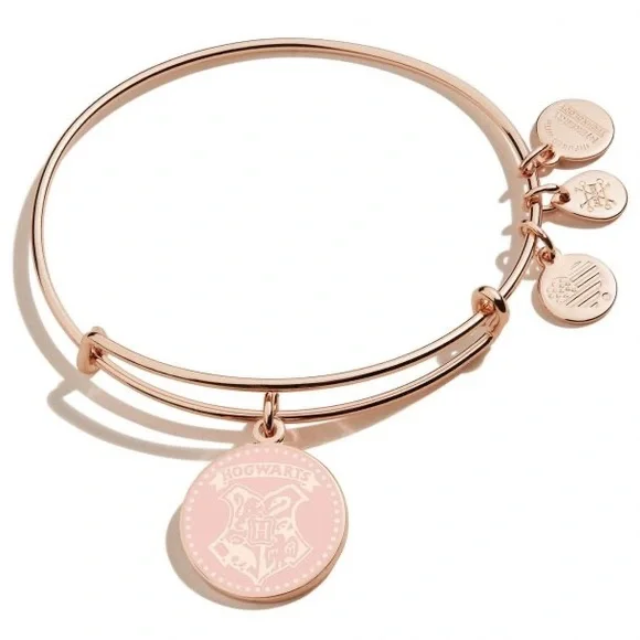 Purse + Alex and Ani 3 Bracelet Bundle. FREE Iron-on Hedwig patch & Dobby Plush - Picture 10 of 16